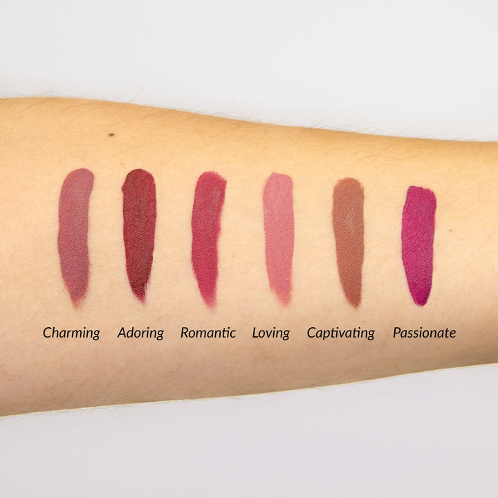 Photograph demonstrating all 6 lipstick shades on forearm